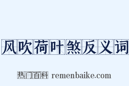 风吹荷叶煞反义词是什么意思的图片